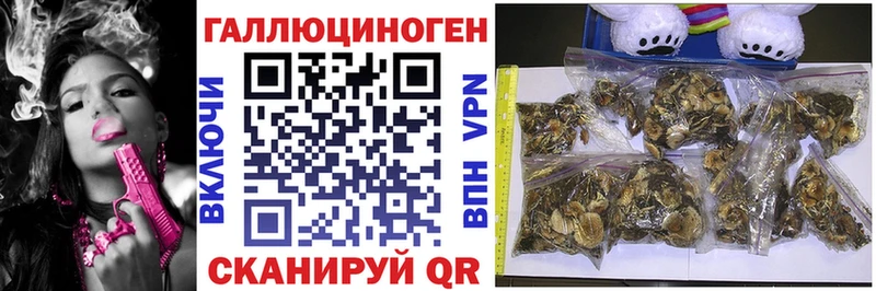 Псилоцибиновые грибы GOLDEN TEACHER  kraken   Иланский 